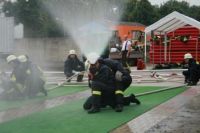 Bild-3
