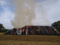 230259960_348970636895176_8135273361855085669_n