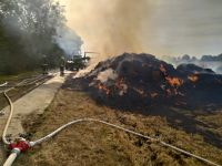 234052178_838902640098384_7860631037807834218_n