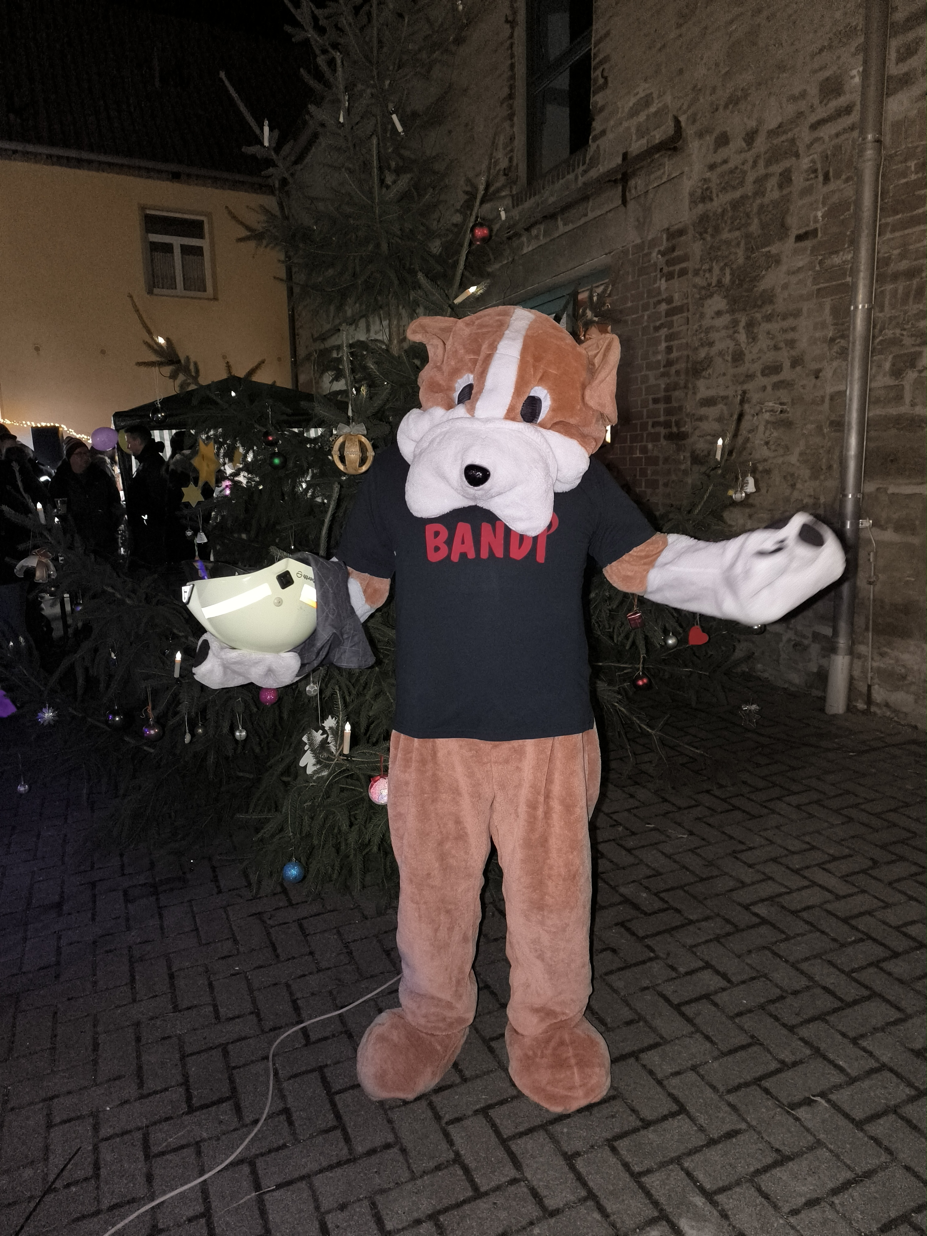 IMG 20241129 173344