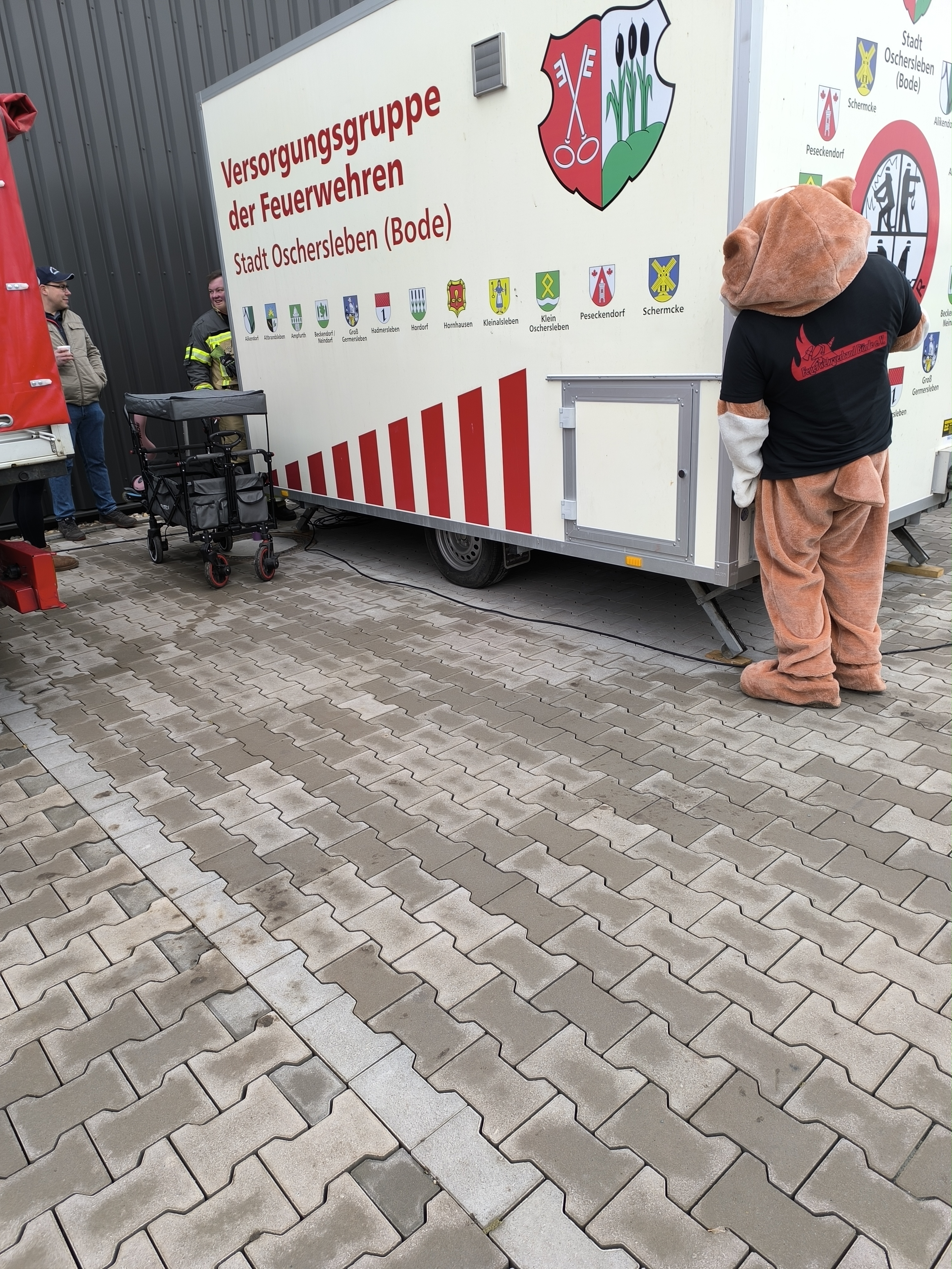 IMG 20241215 115937