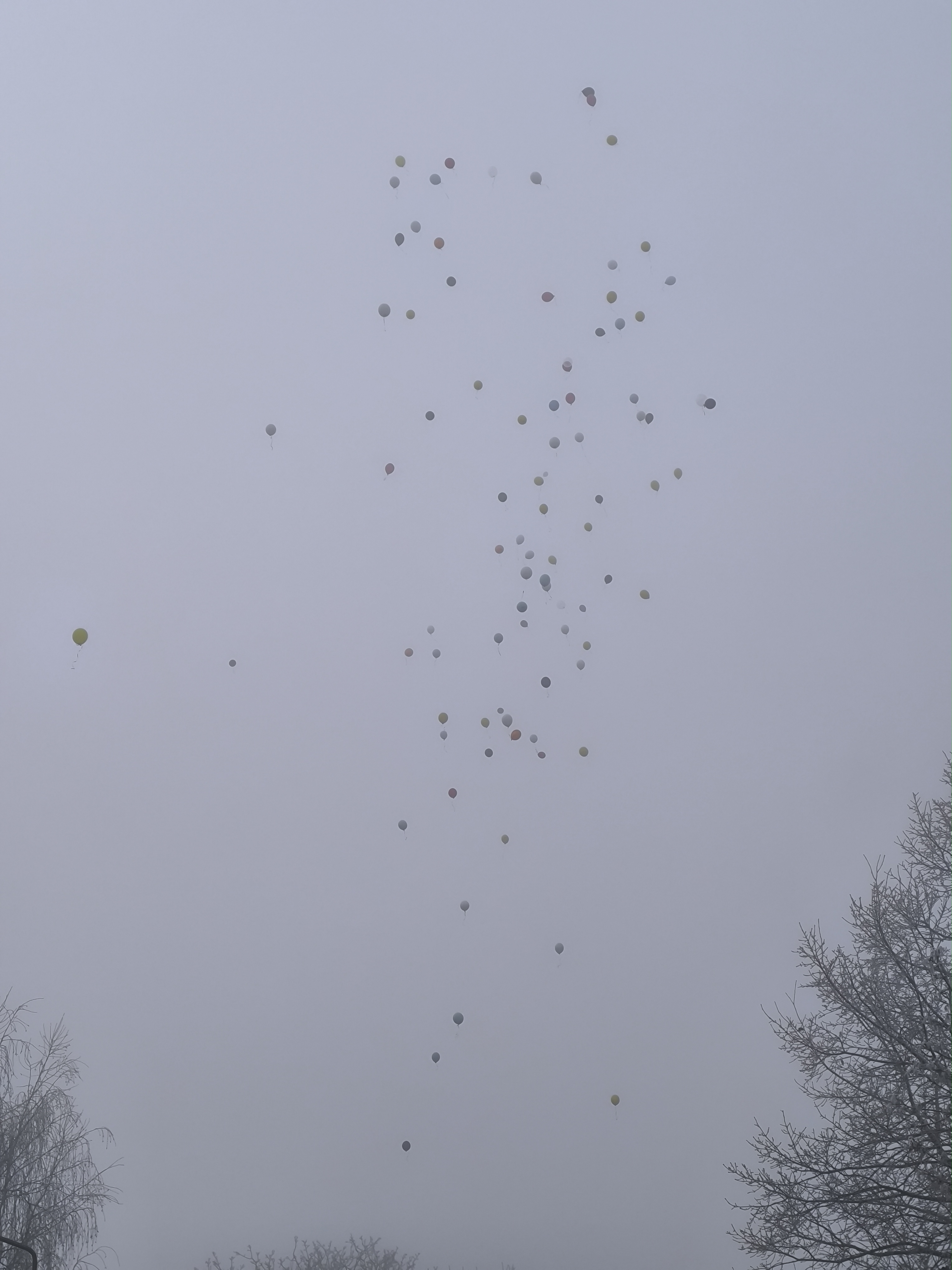 IMG 20250118 110029