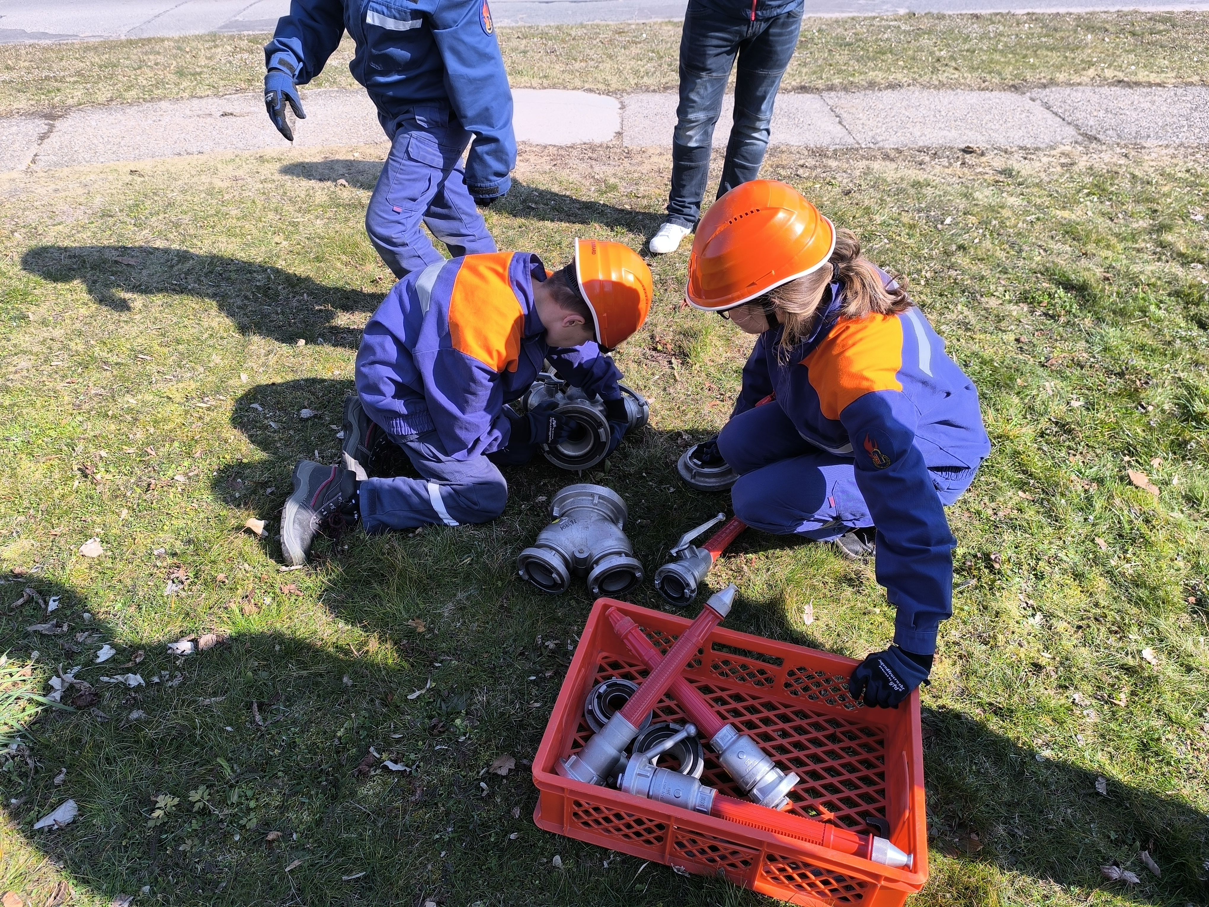 IMG 20250322 111338